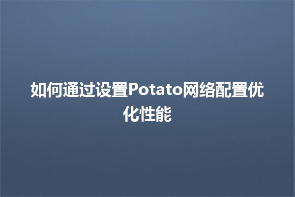 如何通过设置Potato网络配置优化性能 🚀