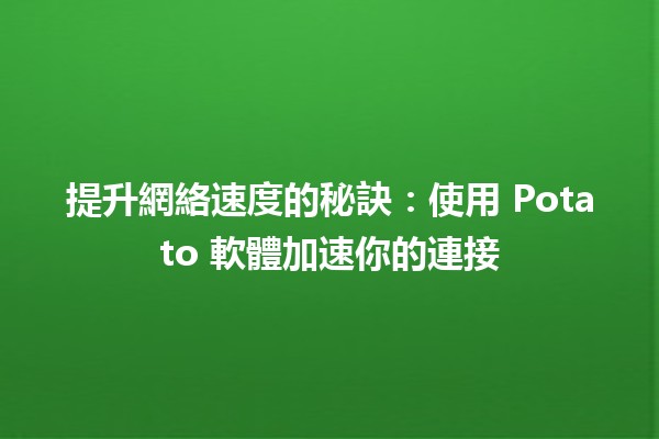 提升網絡速度的秘訣：使用 Potato 軟體加速你的連接 🚀💻