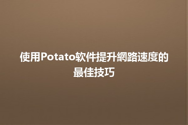 使用Potato软件提升網路速度的最佳技巧🚀