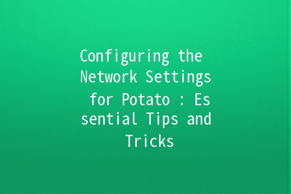 Configuring the Network Settings for Potato 🥔: Essential Tips and Tricks