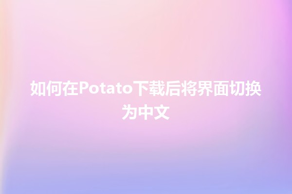 如何在Potato下载后将界面切换为中文🌟