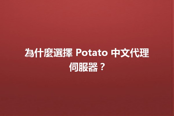 為什麼選擇 Potato 中文代理伺服器？🌐💡