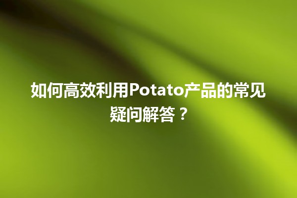 🥔 如何高效利用Potato产品的常见疑问解答？ 💡