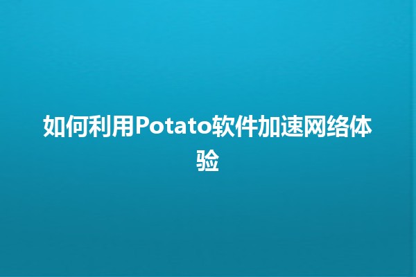 如何利用Potato软件加速网络体验🚀