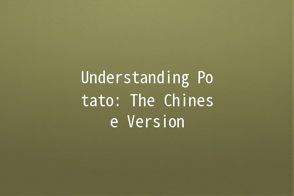 Understanding Potato: The Chinese Version 🍟✨