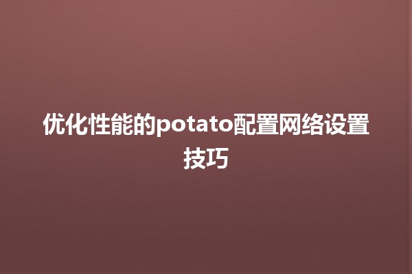 🍟 优化性能的potato配置网络设置技巧 🚀