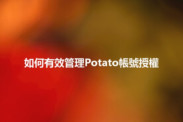 如何有效管理Potato帳號授權 🥔💼