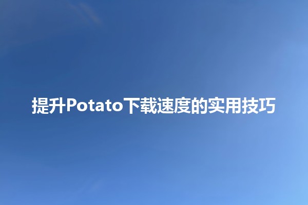 🍟 提升Potato下载速度的实用技巧 🚀