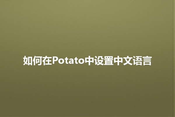 🌟 如何在Potato中设置中文语言 🥔