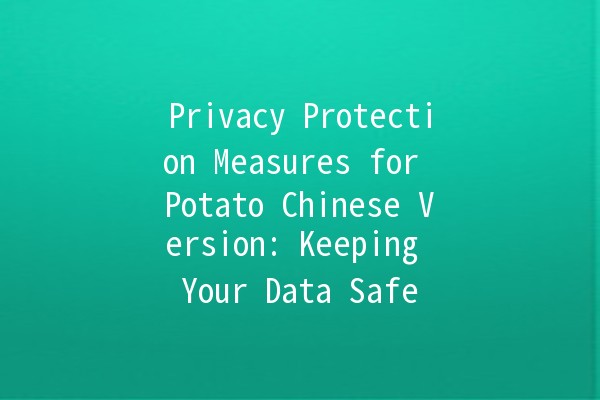 Privacy Protection Measures for Potato Chinese Version: Keeping Your Data Safe 🔒🥔