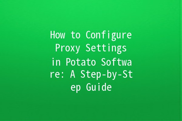 How to Configure Proxy Settings in Potato Software: A Step-by-Step Guide 🥔🔧