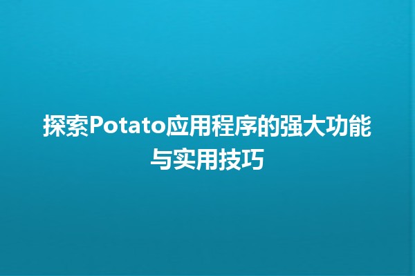 🚀 探索Potato应用程序的强大功能与实用技巧 🥔