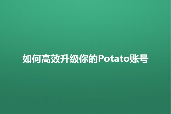 如何高效升级你的Potato账号 🚀🥔