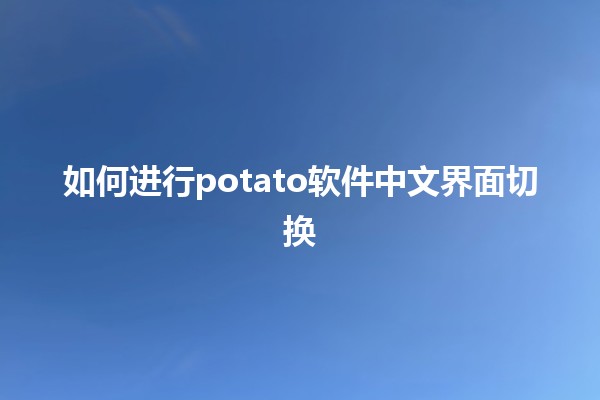 如何进行potato软件中文界面切换🌍✨