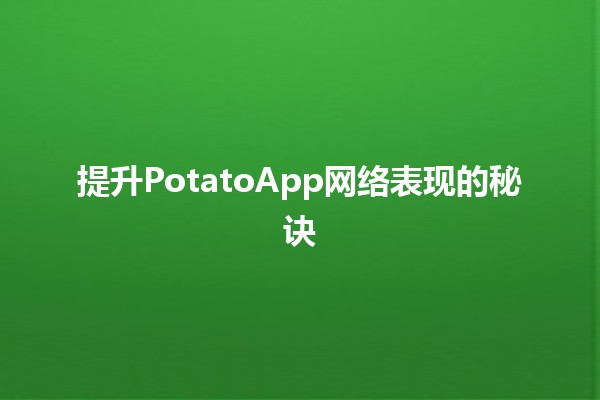 🥔提升PotatoApp网络表现的秘诀✨