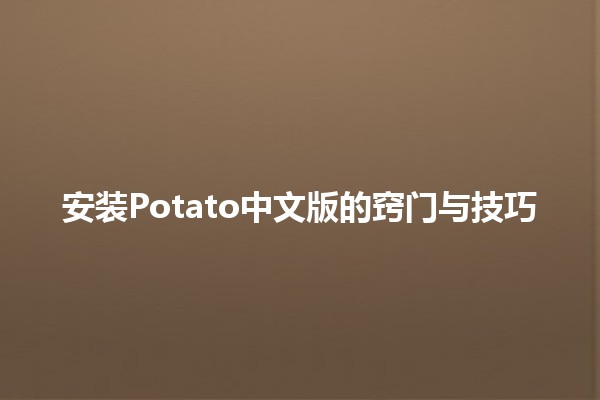 安装Potato中文版的窍门与技巧 🌟🍟