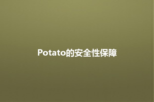 Potato的安全性保障🥔✨