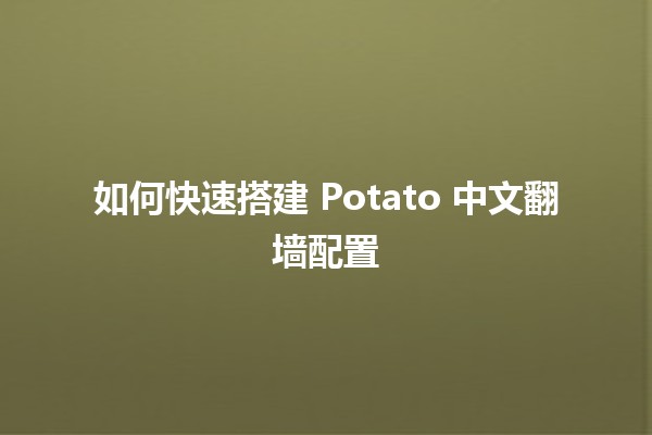 如何快速搭建🎉 Potato 中文翻墙配置