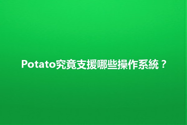 Potato究竟支援哪些操作系統？🖥️🥔