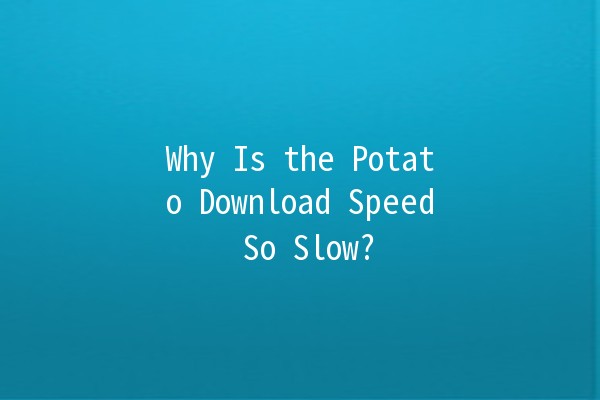 Why Is the Potato Download Speed So Slow? 🥔💻