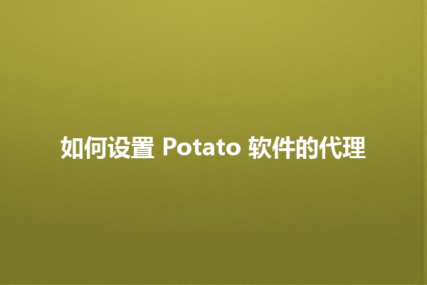 如何设置 Potato 软件的代理 🌐💻