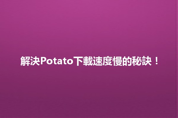 解決📶Potato下載速度慢的秘訣！