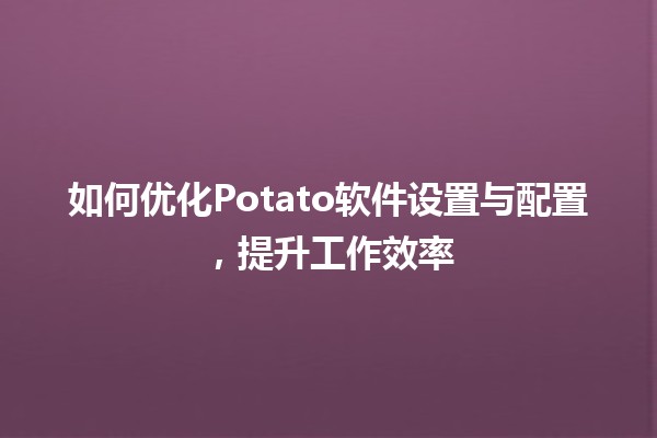 🔧 如何优化Potato软件设置与配置，提升工作效率🚀