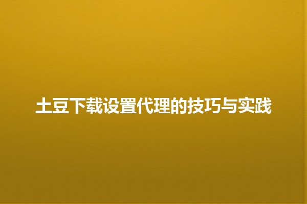 🌐 土豆下载设置代理的技巧与实践📥