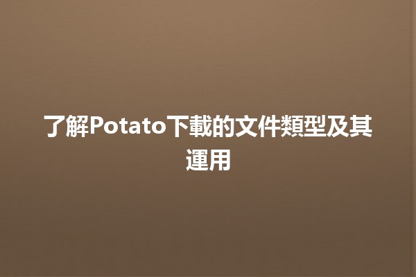 🎉了解Potato下載的文件類型及其運用💻