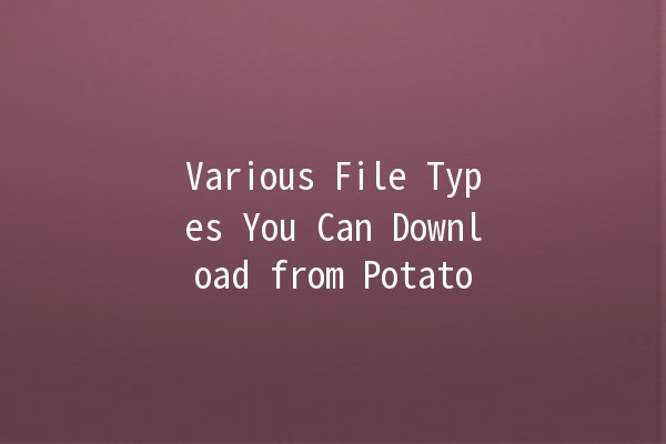 Various File Types You Can Download from Potato 🌟📁