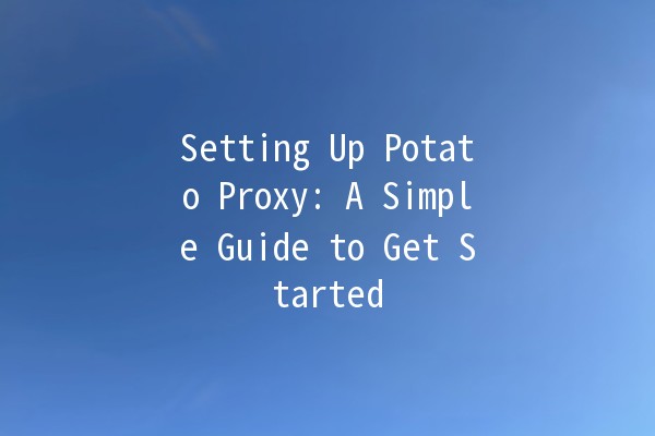 Setting Up Potato Proxy: A Simple Guide to Get Started 🚀